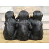 Three Monkeys