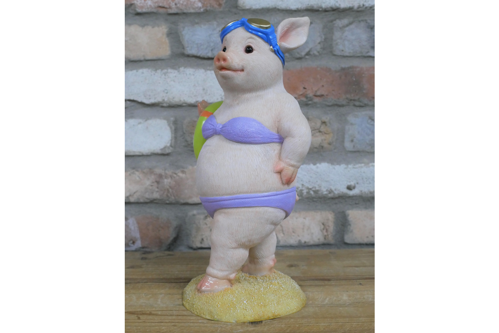 Pig With Ring