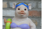 Pig With Ring