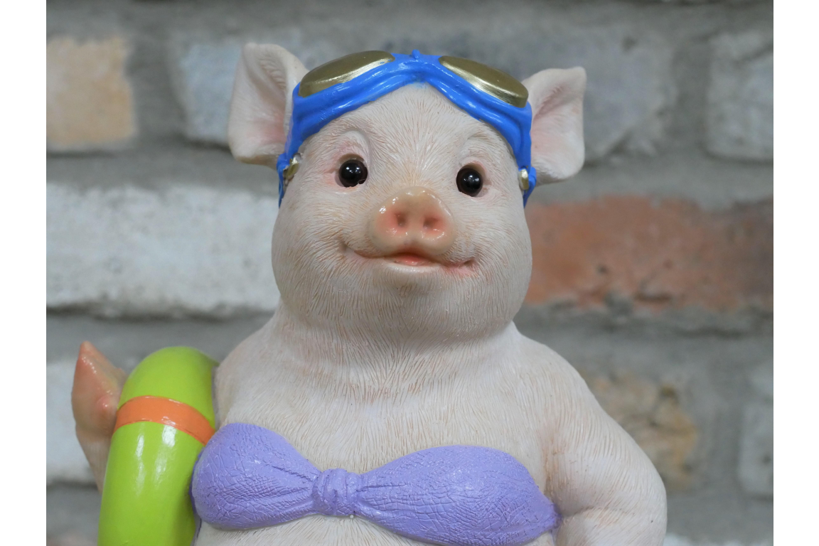 Pig With Ring