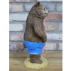 Bear With Surfboard