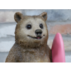 Bear With Surfboard