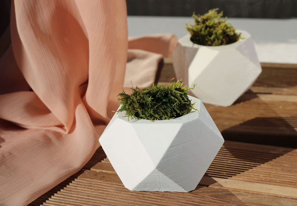 WHITE CONCRETE HEXAGONAL POT Default Title