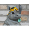 Rhino Snorkeling