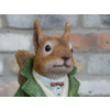 Mr Squirrel