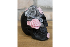 Set Of 3 Skulls
