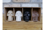 Set Of 4 Skulls