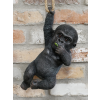 Hanging Baby Gorilla