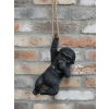 Hanging Baby Gorilla
