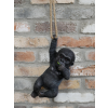 Hanging Baby Gorilla