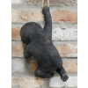 Hanging Baby Gorilla