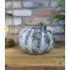 Medium Pumpkin
