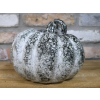 Medium Pumpkin