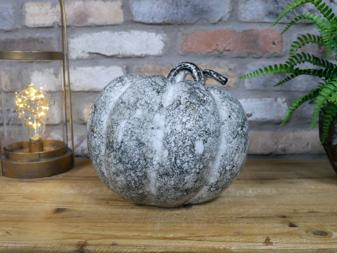 Large Pumpkin