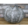 Large Pumpkin