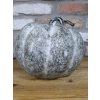 Large Pumpkin