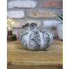 Pumpkin - Small