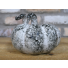 Pumpkin - Small