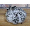 Pumpkin - Small