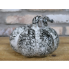 Pumpkin - Small