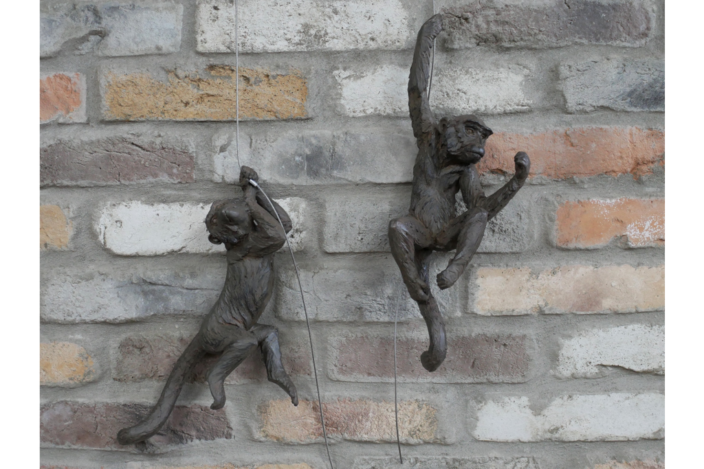 Hanging Monkeys