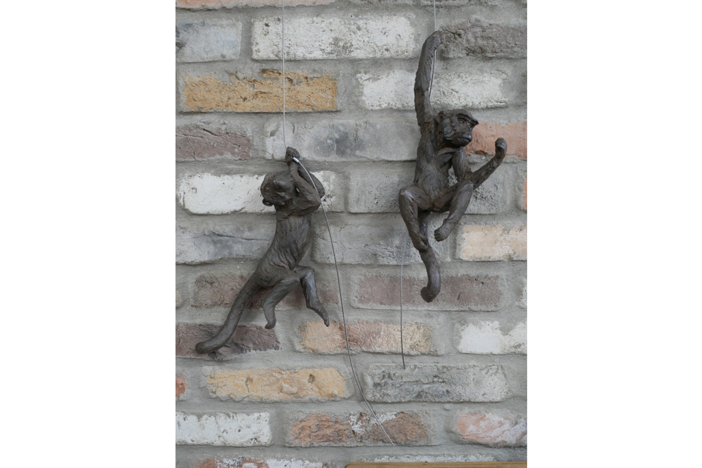 Hanging Monkeys