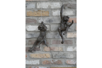 Hanging Monkeys