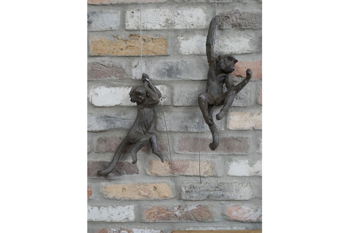 Hanging Monkeys