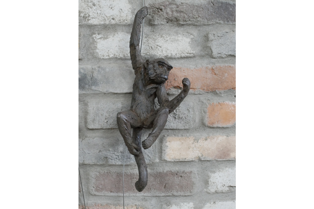Hanging Monkeys