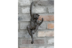 Hanging Monkeys