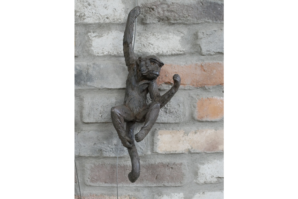 Hanging Monkeys