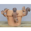 Set Of 3 Squirrel Pot Hangers