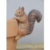 Set Of 3 Squirrel Pot Hangers