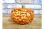 Pumpkin (Leaves -S)