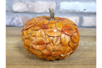 Pumpkin (Leaves -S)