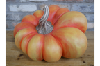 Pumpkin-2