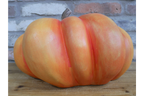 Pumpkin-2