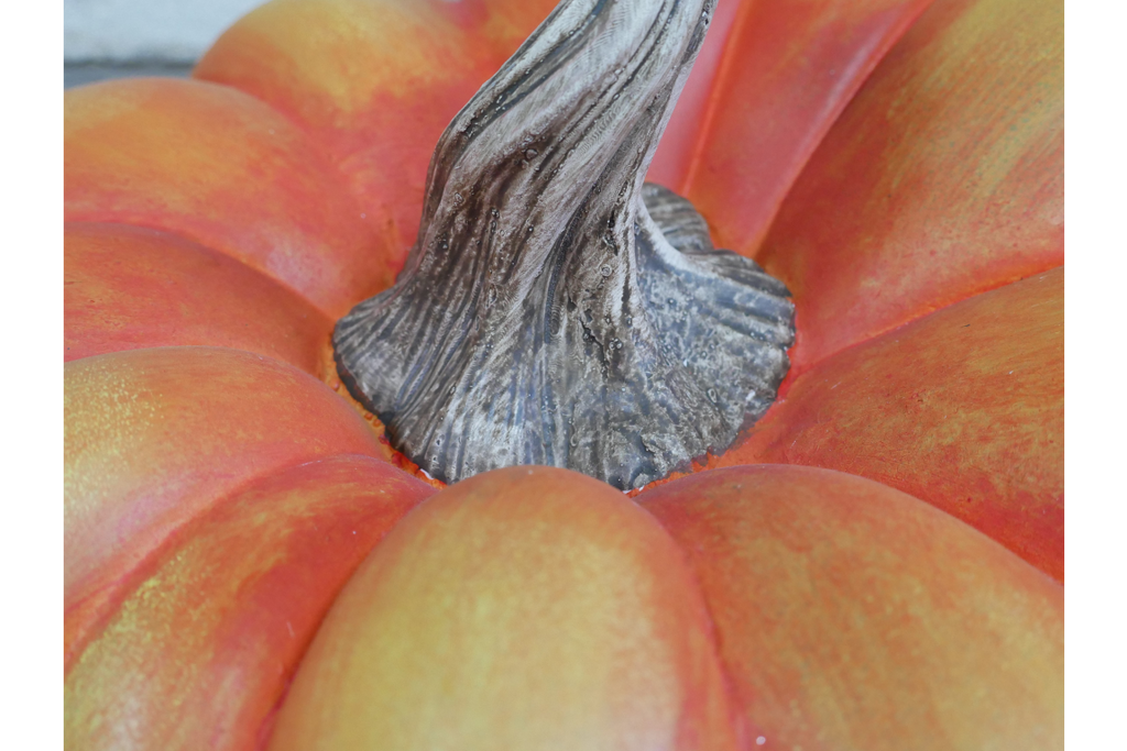 Pumpkin-2
