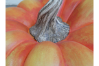 Pumpkin-2