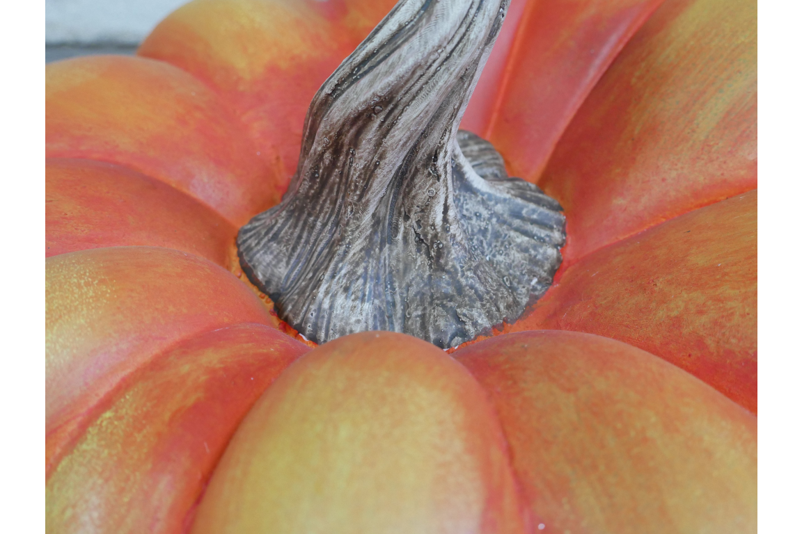 Pumpkin-2