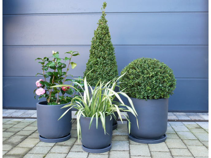 Set Of 4 Planters With Saucers