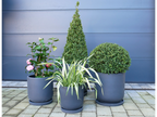 Set Of 4 Planters With Saucers