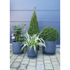 Set Of 4 Planters With Saucers