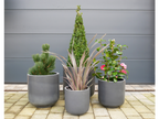 Set Of 4 Planters