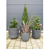 Set Of 4 Planters