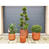 Set Of 4 Planters