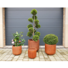 Set Of 4 Planters
