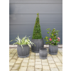Set Of 4 Planters