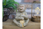 Greedy Monkey
