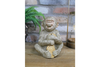 Greedy Monkey